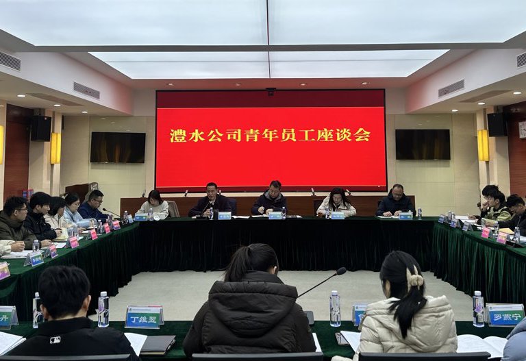 公司召開(kāi)團(tuán)委換屆選舉暨青年員工座談會(huì)